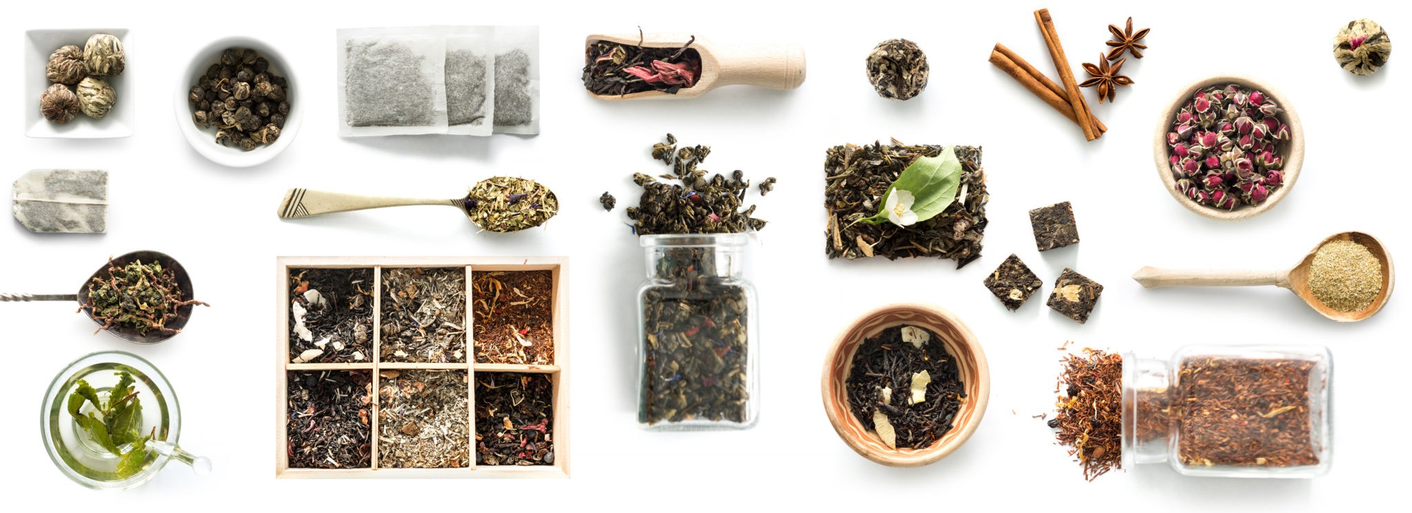 Traditional Chinese Medicine New York
