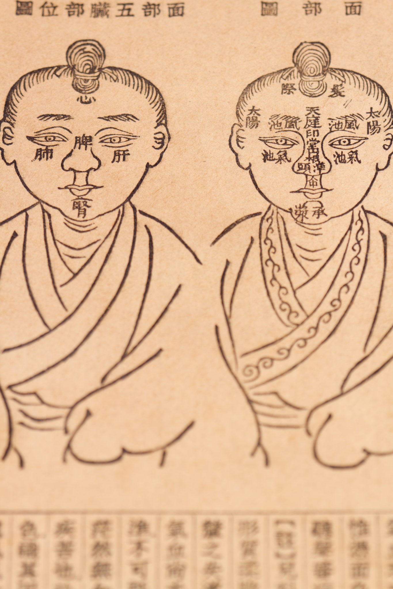 Traditional Chinese Medicine New York