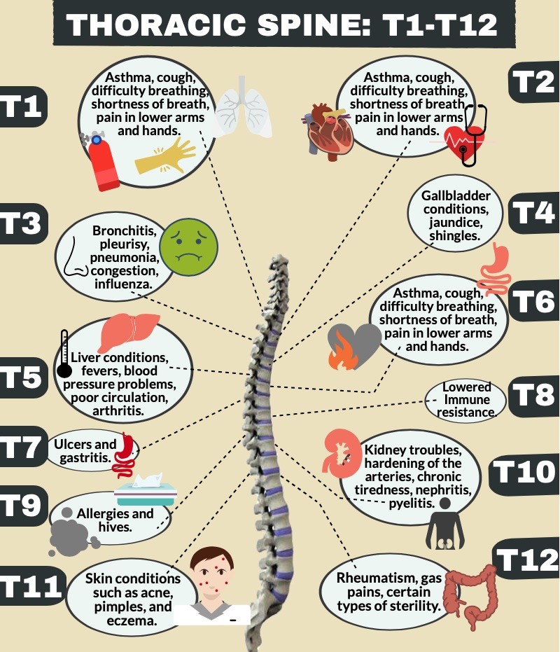 Chiropractic conditions
