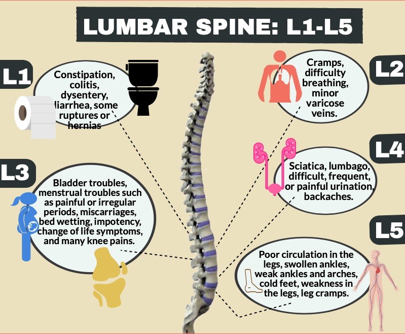 Chiropractic - Conditions