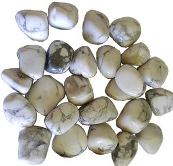 1 lb Howlite, White tumbled stones Image