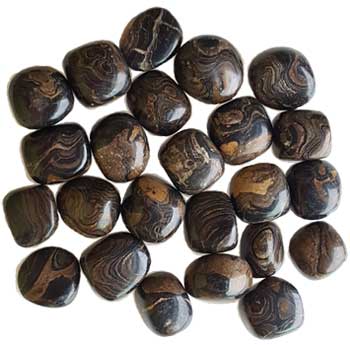 1 lb Stromatolite (onyx Brown) tumbled stones Image